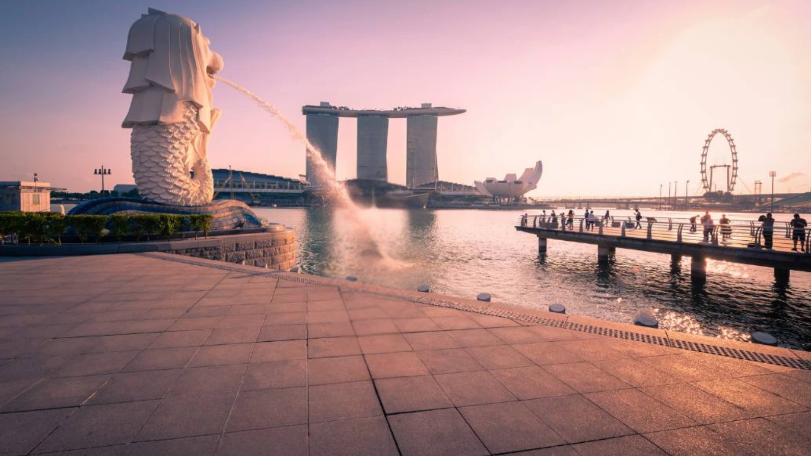 Singapore Tour